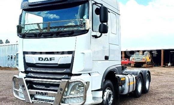 Buy Used DAF CF White Truck in Lusaka in Zambia Buy Used DAF CF White Truck in Lusaka in Zambia
