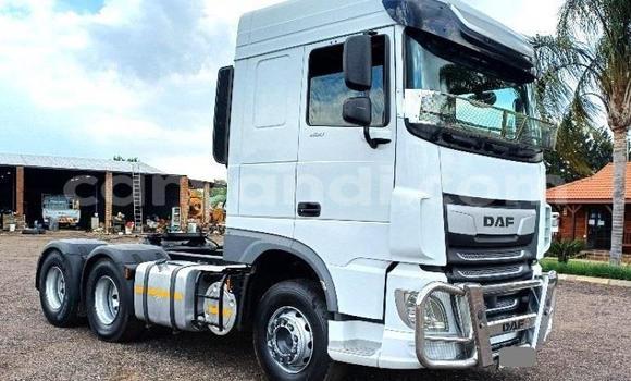 Buy Used DAF CF White Truck in Lusaka in Zambia Buy Used DAF CF White Truck in Lusaka in Zambia