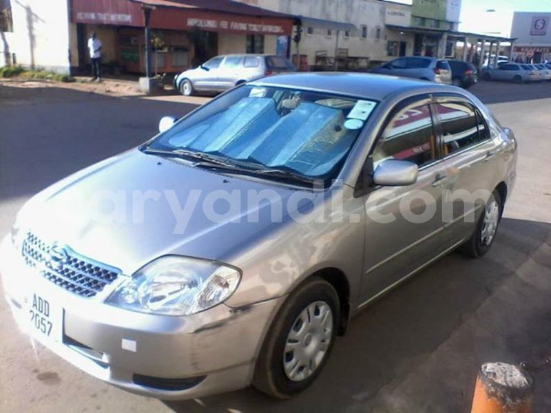 Big with watermark 53179943 2013583162101599 7703063968960479232 n