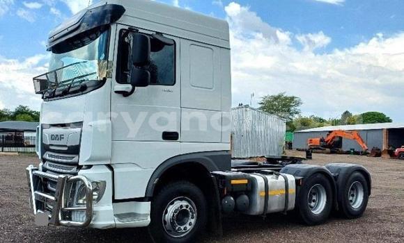 Buy Used DAF CF White Truck in Lusaka in Zambia Buy Used DAF CF White Truck in Lusaka in Zambia