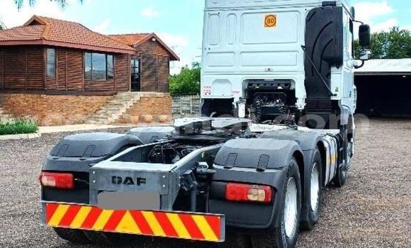 Buy Used DAF CF White Truck in Lusaka in Zambia Buy Used DAF CF White Truck in Lusaka in Zambia