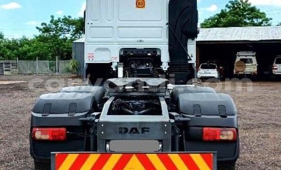 Buy Used DAF CF White Truck in Lusaka in Zambia Buy Used DAF CF White Truck in Lusaka in Zambia