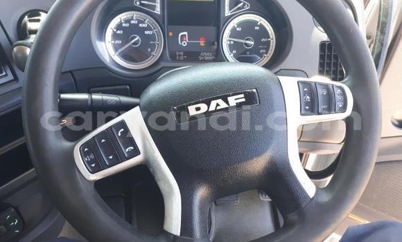 Buy Used DAF CF White Truck in Lusaka in Zambia Buy Used DAF CF White Truck in Lusaka in Zambia
