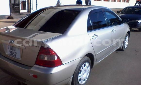 Buy Used Toyota Corolla Silver Car in Kitwe in Zambia Buy Used Toyota Corolla Silver Car in Kitwe in Zambia