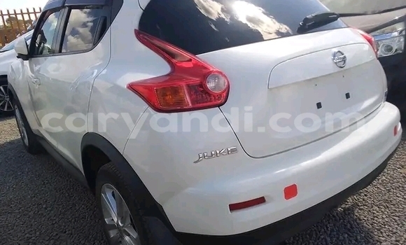 Tenga Tsaru Nissan Juke Chena Mota in Lusaka in Zambia Tenga Tsaru Nissan Juke Chena Mota in Lusaka in Zambia