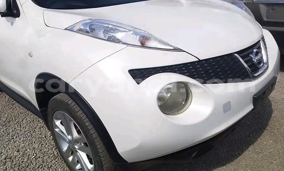 Tenga Tsaru Nissan Juke Chena Mota in Lusaka in Zambia Tenga Tsaru Nissan Juke Chena Mota in Lusaka in Zambia