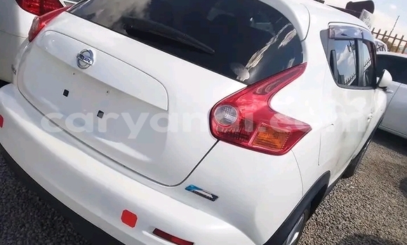 Tenga Tsaru Nissan Juke Chena Mota in Lusaka in Zambia Tenga Tsaru Nissan Juke Chena Mota in Lusaka in Zambia