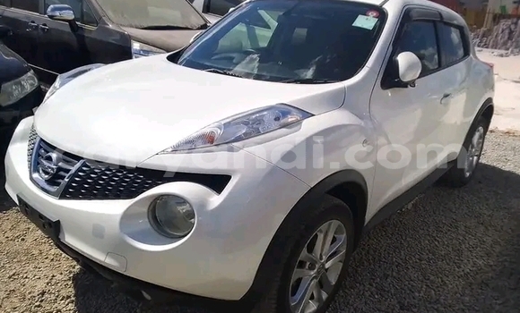 Tenga Tsaru Nissan Juke Chena Mota in Lusaka in Zambia Tenga Tsaru Nissan Juke Chena Mota in Lusaka in Zambia