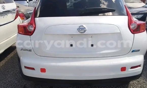 Tenga Tsaru Nissan Juke Chena Mota in Lusaka in Zambia Tenga Tsaru Nissan Juke Chena Mota in Lusaka in Zambia