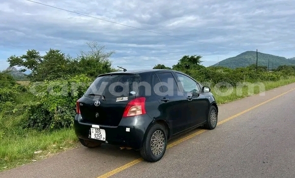 Tenga Tsaru Toyota Vitz Nhema Mota in Lusaka in Zambia Tenga Tsaru Toyota Vitz Nhema Mota in Lusaka in Zambia