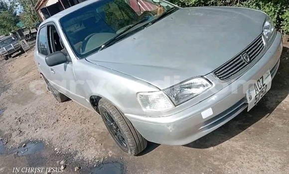 Tenga Tsaru Toyota Corolla Zvimwe Mota in Ndola in Zambia Tenga Tsaru Toyota Corolla Zvimwe Mota in Ndola in Zambia