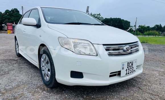 Acheter Occasion Voiture Toyota Axio Blanc à Kitwe, Zambie