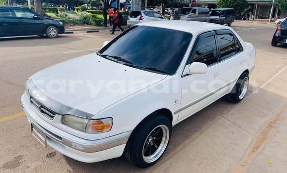 Buy Used Toyota Corolla White Car in Kitwe in Zambia
