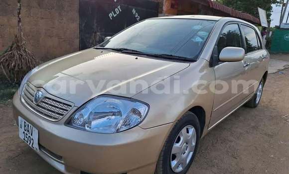 Buy Used Toyota Runx Other Car in Kitwe in Zambia