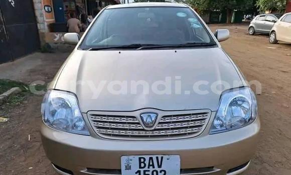 Acheter Occasion Voiture Toyota Runx Autre à Kitwe, Zambie Acheter Occasion Voiture Toyota Runx Autre à Kitwe, Zambie