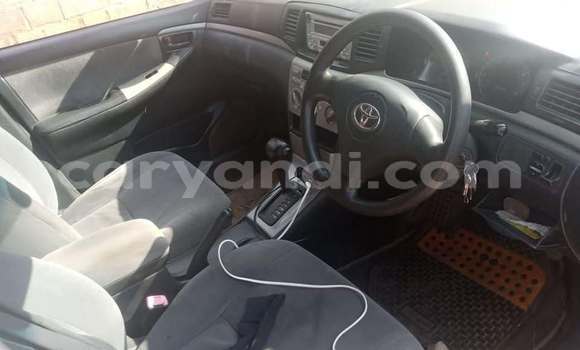 Acheter Occasion Voiture Toyota Runx Autre à Kitwe, Zambie Acheter Occasion Voiture Toyota Runx Autre à Kitwe, Zambie