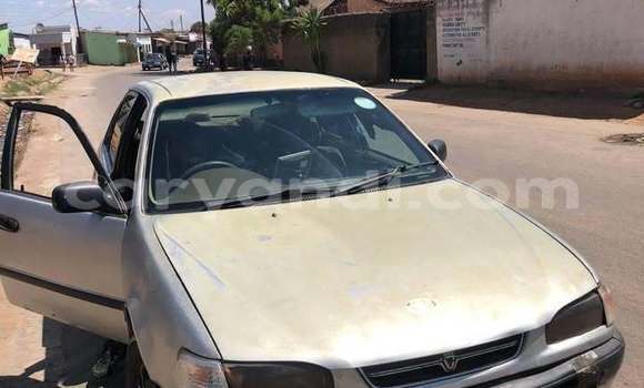 Buy Used Toyota Corolla Other Car in Kitwe in Zambia