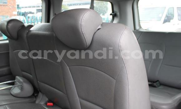 Tenga Tsaru Hyundai H1 Chena Mota in Livingstone in Zambia Tenga Tsaru Hyundai H1 Chena Mota in Livingstone in Zambia