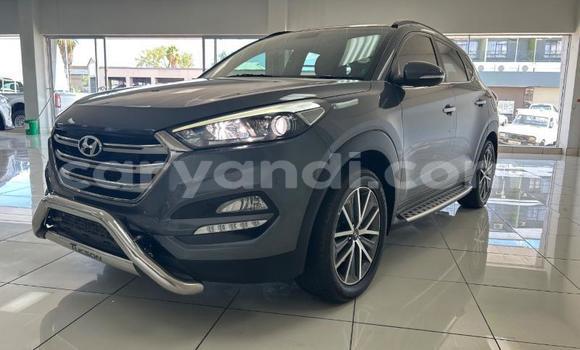Acheter Occasion Voiture Hyundai Tucson Gris à Livingstone, Zambie Acheter Occasion Voiture Hyundai Tucson Gris à Livingstone, Zambie