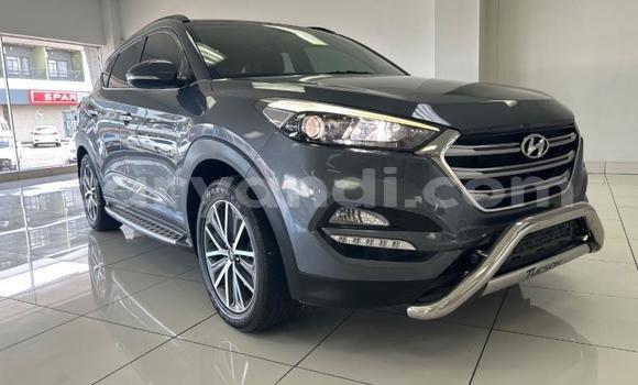Acheter Occasion Voiture Hyundai Tucson Gris à Livingstone, Zambie Acheter Occasion Voiture Hyundai Tucson Gris à Livingstone, Zambie