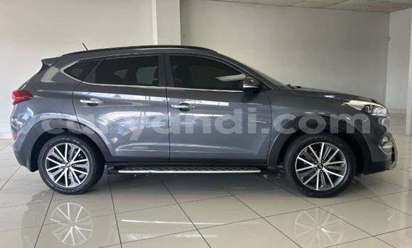 Acheter Occasion Voiture Hyundai Tucson Gris à Livingstone, Zambie Acheter Occasion Voiture Hyundai Tucson Gris à Livingstone, Zambie