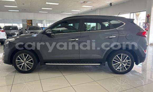 Acheter Occasion Voiture Hyundai Tucson Gris à Livingstone, Zambie Acheter Occasion Voiture Hyundai Tucson Gris à Livingstone, Zambie