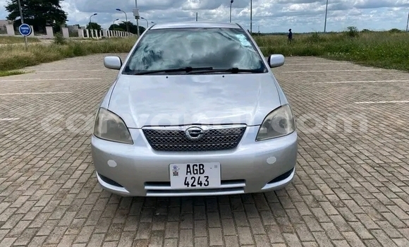 Buy Used Toyota Runx Other Car in Chilanga in Lusaka