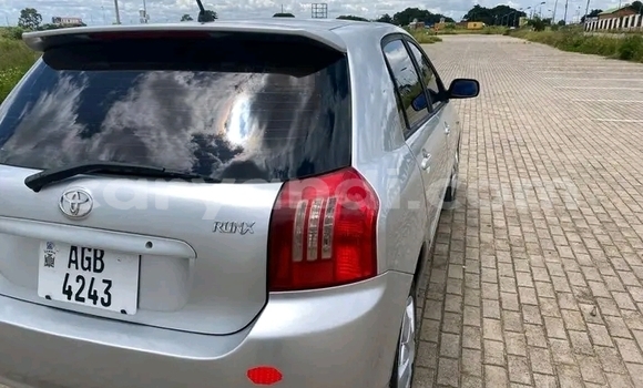 Buy Used Toyota Runx Other Car in Chilanga in Lusaka Buy Used Toyota Runx Other Car in Chilanga in Lusaka