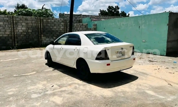 Buy Used Toyota Corolla White Car in Lusaka in Zambia Buy Used Toyota Corolla White Car in Lusaka in Zambia