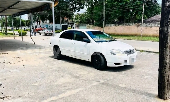 Buy Used Toyota Corolla White Car in Lusaka in Zambia Buy Used Toyota Corolla White Car in Lusaka in Zambia