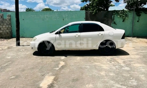 Buy Used Toyota Corolla White Car in Lusaka in Zambia Buy Used Toyota Corolla White Car in Lusaka in Zambia