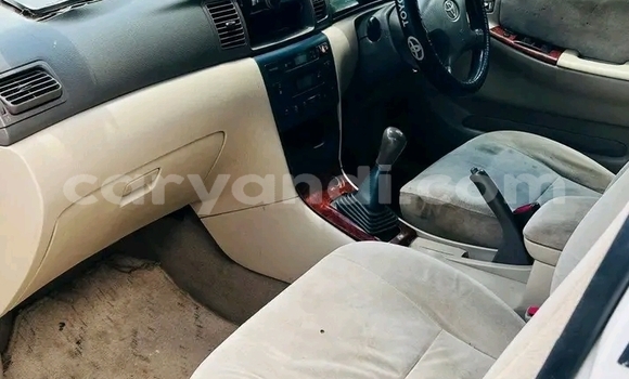 Buy Used Toyota Corolla White Car in Lusaka in Zambia Buy Used Toyota Corolla White Car in Lusaka in Zambia