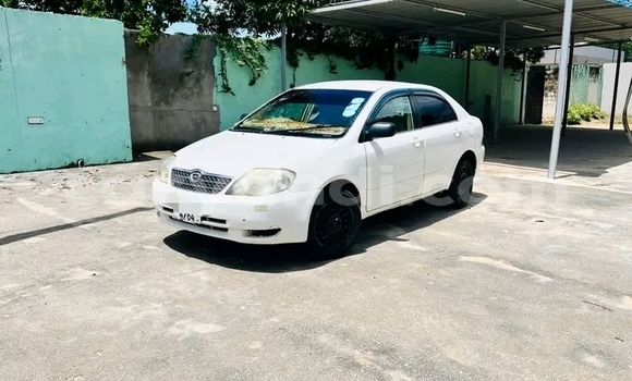 Buy Used Toyota Corolla White Car in Lusaka in Zambia Buy Used Toyota Corolla White Car in Lusaka in Zambia