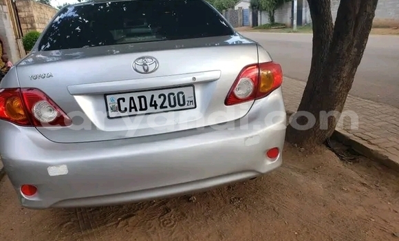 Tenga Tsaru Toyota Axio Sirivha Mota in Choma in Southern Tenga Tsaru Toyota Axio Sirivha Mota in Choma in Southern