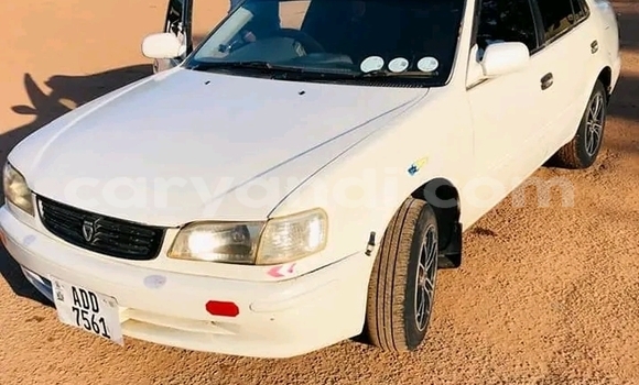 Tenga Tsaru Toyota Corolla Chena Mota in Lusaka in Zambia Tenga Tsaru Toyota Corolla Chena Mota in Lusaka in Zambia