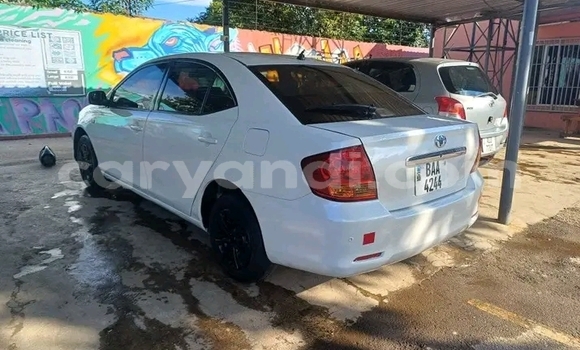 Tenga Tsaru Toyota Allion Chena Mota in Lusaka in Zambia Tenga Tsaru Toyota Allion Chena Mota in Lusaka in Zambia