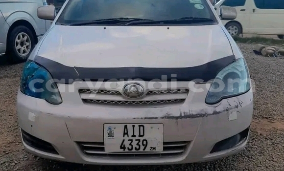 Buy Used Toyota Allex Other Car in Lusaka in Zambia