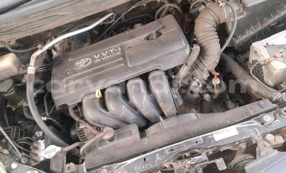 Buy Used Toyota Spacio Black Car in Lusaka in Zambia