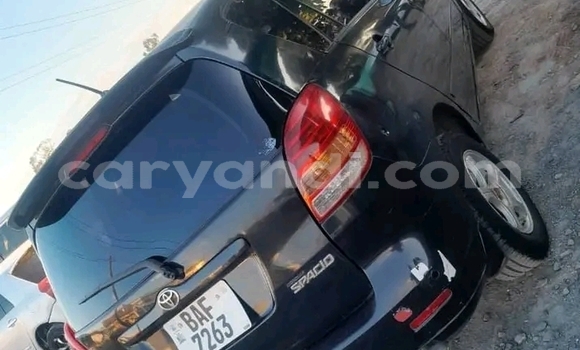 Tenga Tsaru Toyota Spacio Nhema Mota in Lusaka in Zambia Tenga Tsaru Toyota Spacio Nhema Mota in Lusaka in Zambia