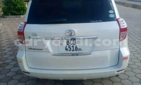 Tenga Tsaru Toyota Vanguard Chena Mota in Lusaka in Zambia Tenga Tsaru Toyota Vanguard Chena Mota in Lusaka in Zambia