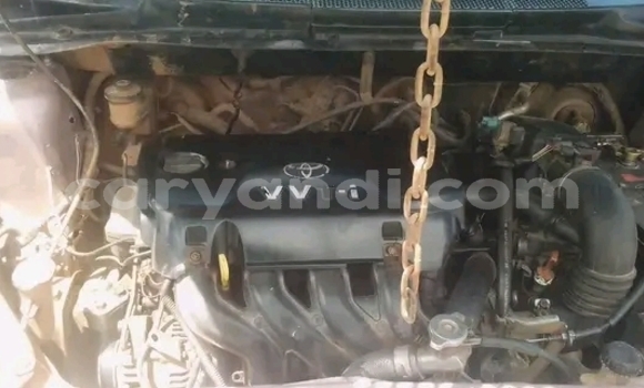 Tenga Tsaru Toyota Vitz Zvimwe Mota in Lusaka in Zambia Tenga Tsaru Toyota Vitz Zvimwe Mota in Lusaka in Zambia