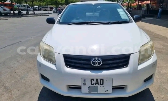 Buy Used Toyota Axio White Car in Lusaka in Zambia