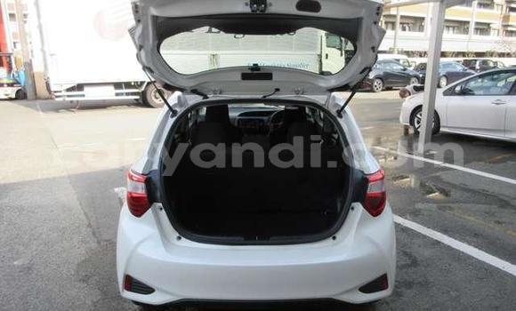 Buy Used Toyota Vitz White Car in Chingola in Zambia Buy Used Toyota Vitz White Car in Chingola in Zambia