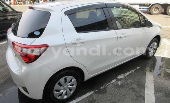Buy Used Toyota Vitz White Car in Chingola in Zambia Buy Used Toyota Vitz White Car in Chingola in Zambia