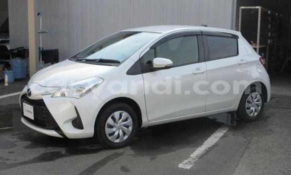 Buy Used Toyota Vitz White Car in Chingola in Zambia Buy Used Toyota Vitz White Car in Chingola in Zambia