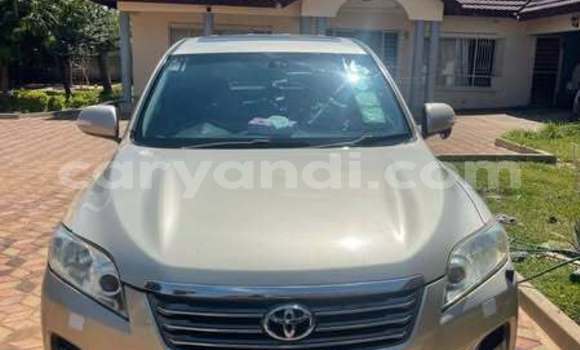 Buy Used Toyota Vanguard Other Car in Lusaka in Zambia Buy Used Toyota Vanguard Other Car in Lusaka in Zambia