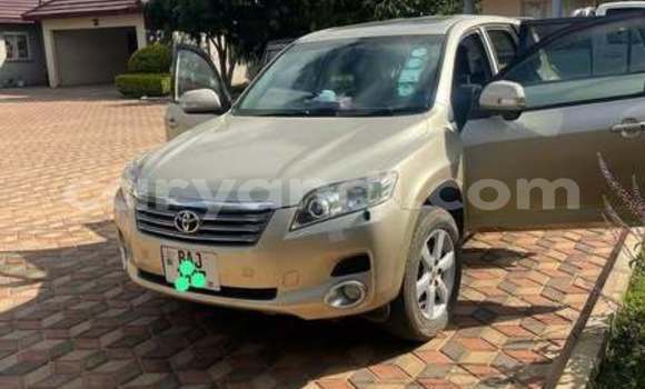 Buy Used Toyota Vanguard Other Car in Lusaka in Zambia Buy Used Toyota Vanguard Other Car in Lusaka in Zambia