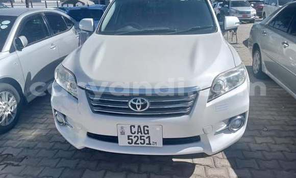 Buy Used Toyota Vanguard Other Car in Lusaka in Zambia Buy Used Toyota Vanguard Other Car in Lusaka in Zambia