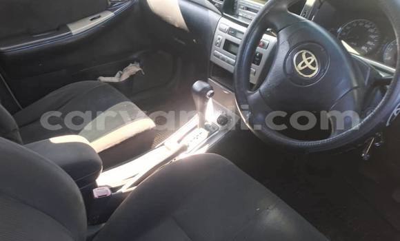 Buy Used Toyota Runx Black Car in Chingola in Zambia Buy Used Toyota Runx Black Car in Chingola in Zambia