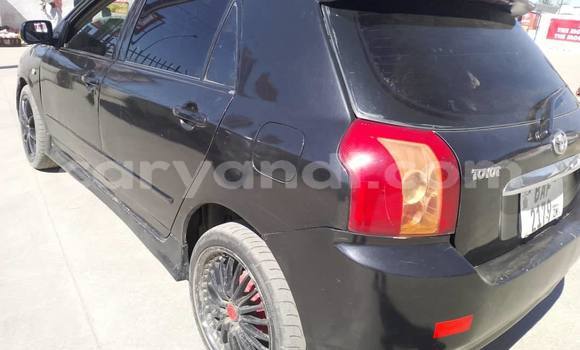 Buy Used Toyota Runx Black Car in Chingola in Zambia Buy Used Toyota Runx Black Car in Chingola in Zambia